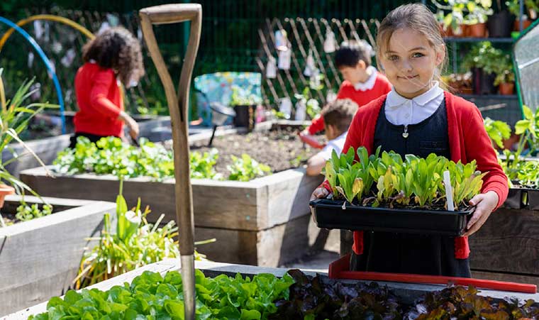 school garden landscape design