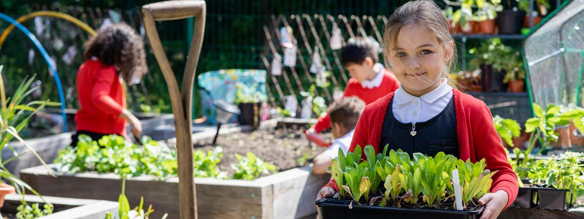 school landscape architects consultants